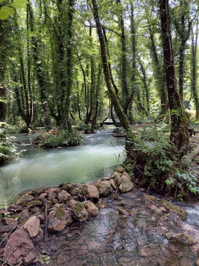 Vila Domacinstvo Ubovic Sipovo Exteriér fotografie
