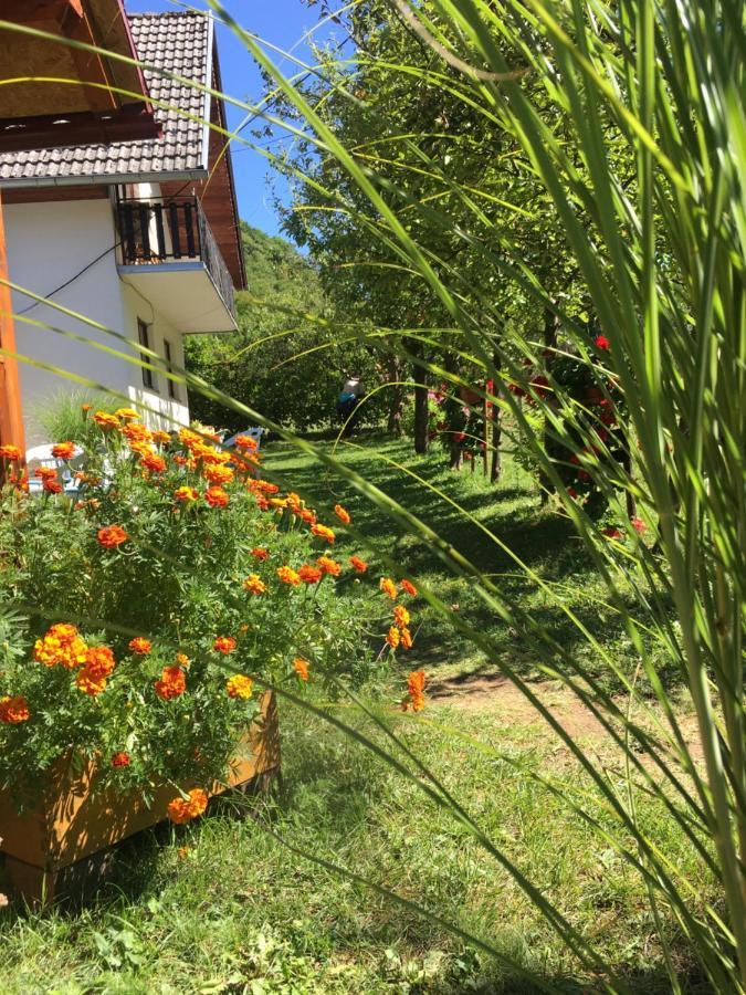 Vila Domacinstvo Ubovic Sipovo Exteriér fotografie
